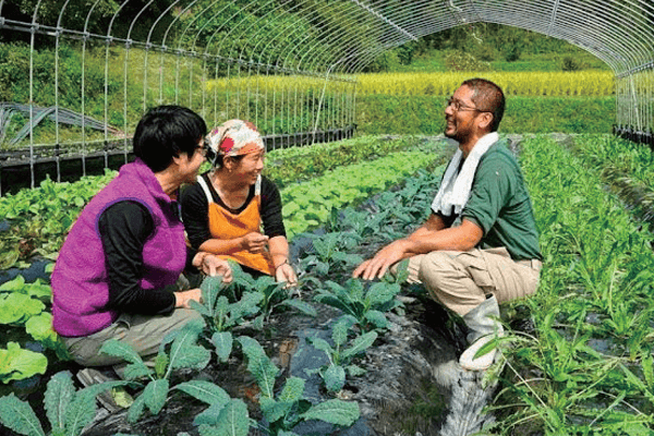 地域支援