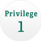 Privilege1
