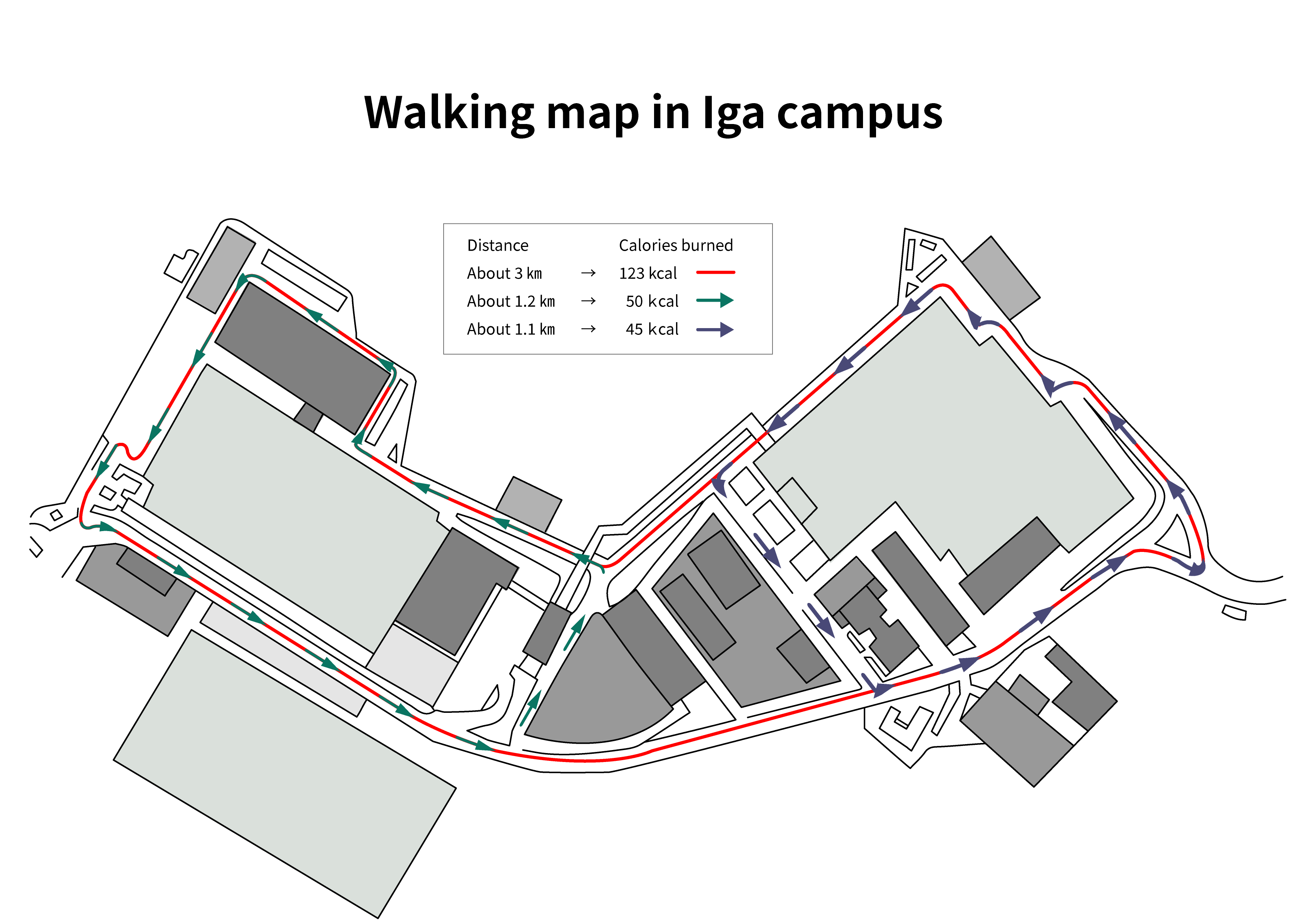 iga Office Walking Map